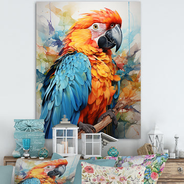 Orange Blue Parrot Vibrant Plumage - Orange Parrot Wall Art